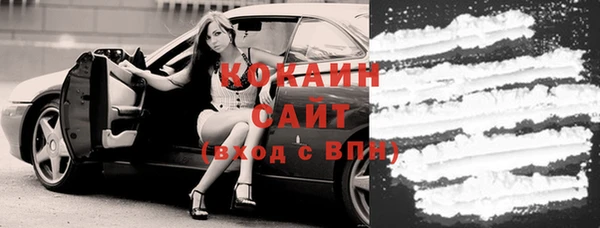 индика Алзамай