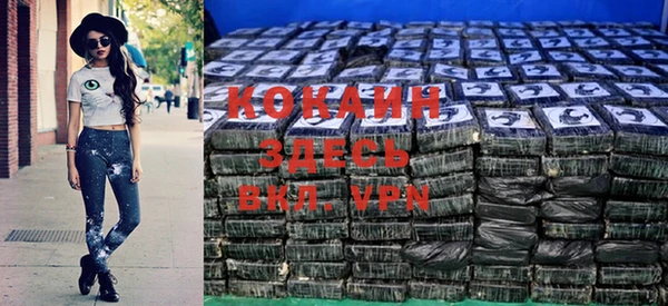 индика Алзамай
