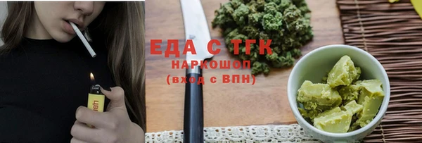 индика Алзамай
