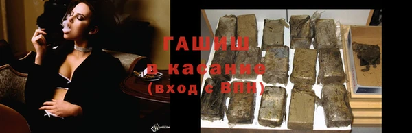 индика Алзамай
