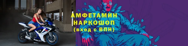 индика Алзамай