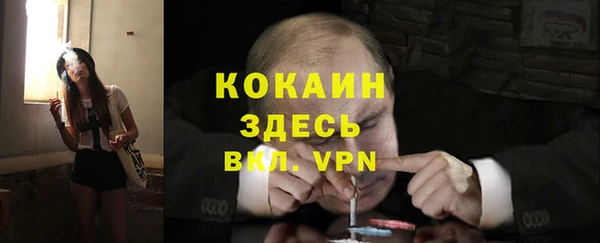 ешки Алексин