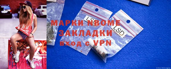 индика Алзамай