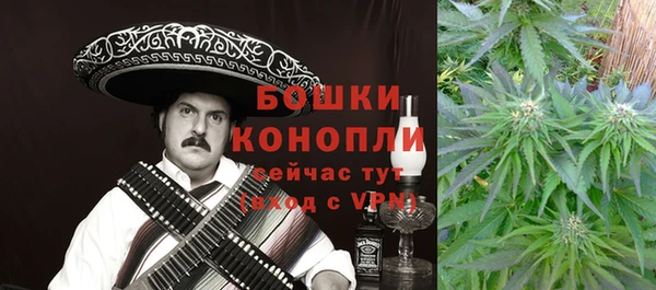 ешки Алексин