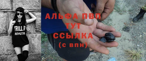 индика Алзамай