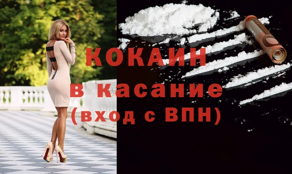 индика Алзамай