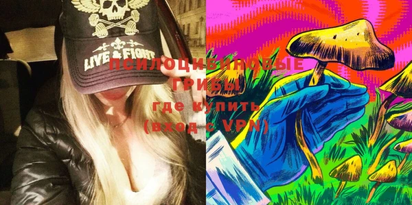 индика Алзамай